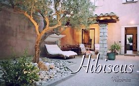 Hibiscus B&B